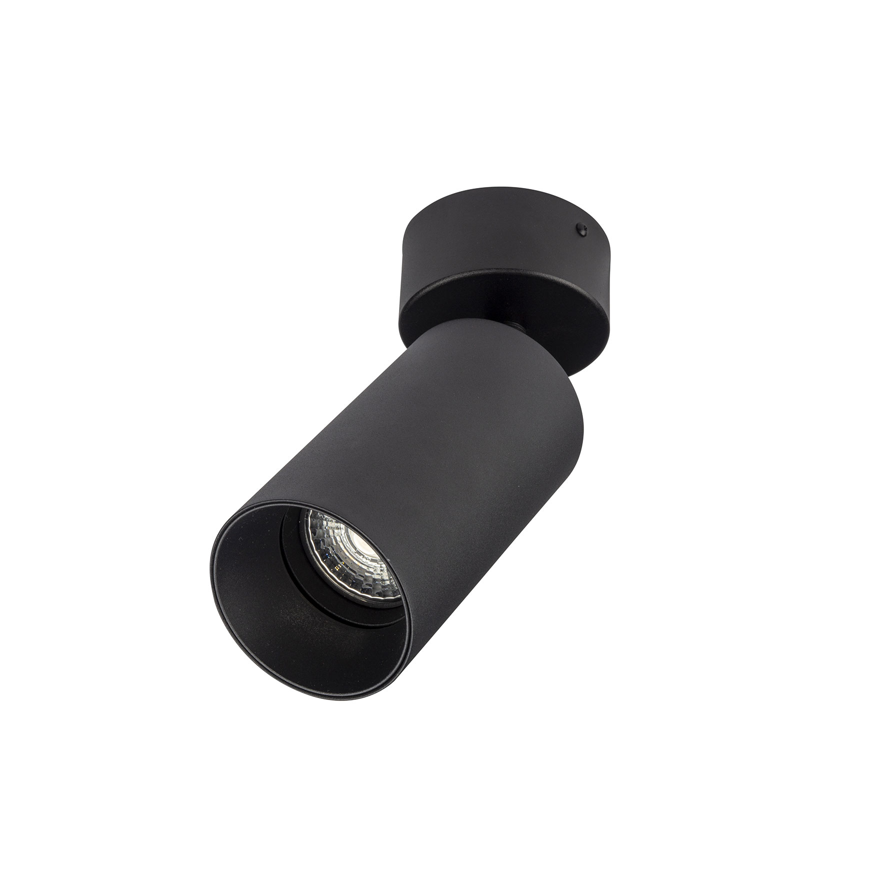 BM100-22 Opbouwarmatuur richtbaar Zwart afbeelding