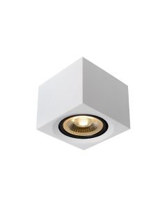 FEDLER Plafondspot LED Dim to warm GU10 1x12W 2200K/3000K Wit